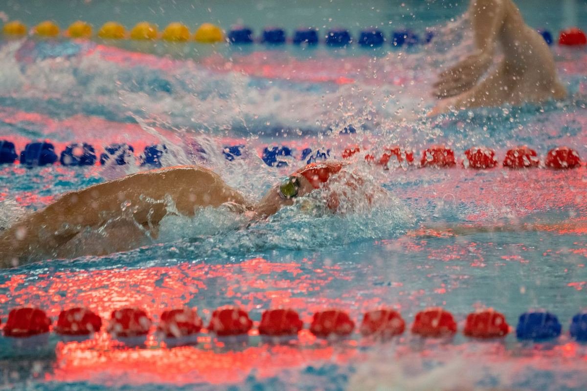 Natation