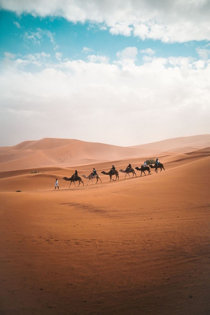Desert Safari